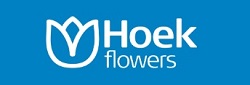 Hoek Flowers